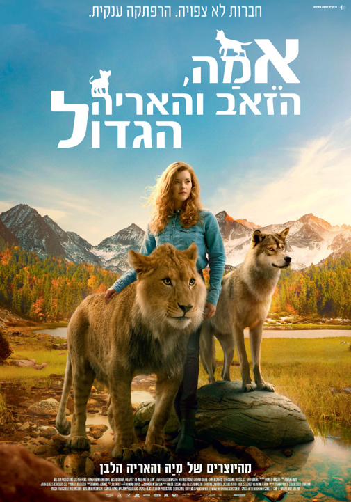 פוסטר